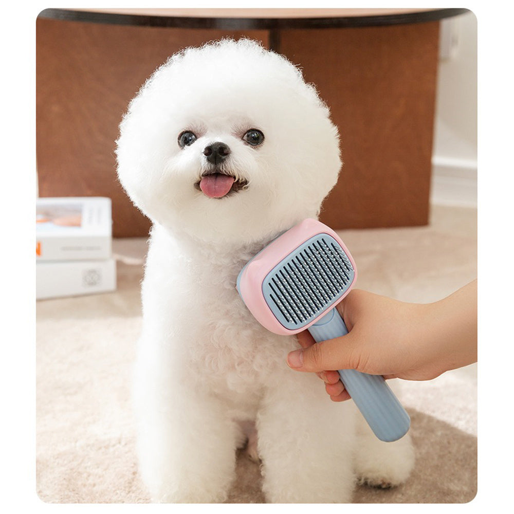 Wefulfil pet deshedding brush for dogs and cats gently removes loose fur from fluffy white Bichon dog