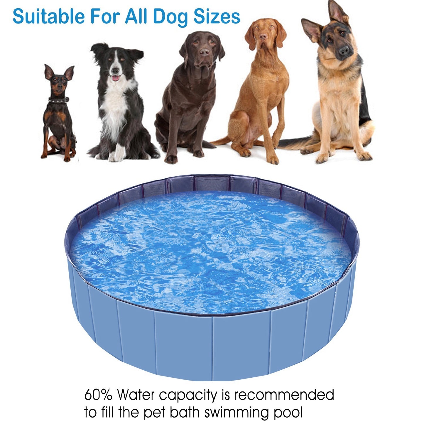 Wefulfil Portable Foldable Dog Pool filled with water shown suitable for all dog sizes with five different breeds