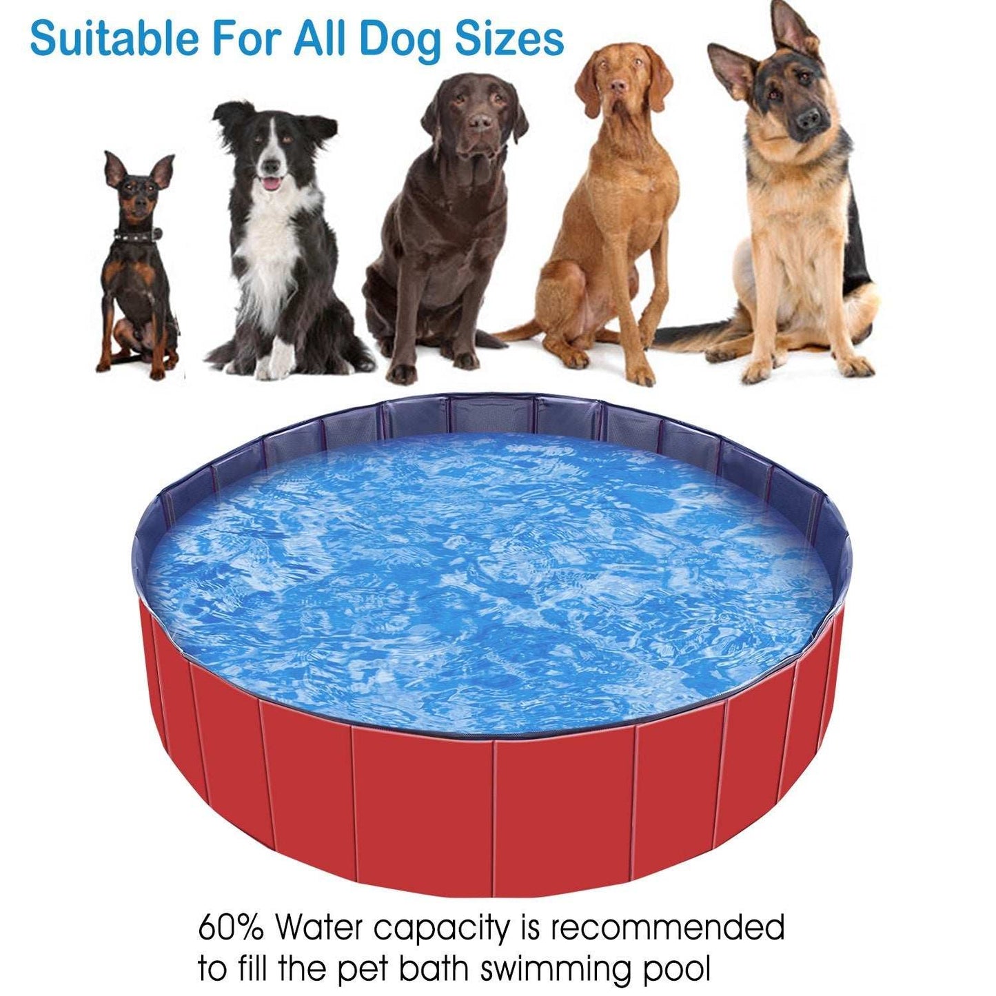 Wefulfil Portable Foldable Dog Pool in red with water and five different sized dogs showing suitability for all dog sizes