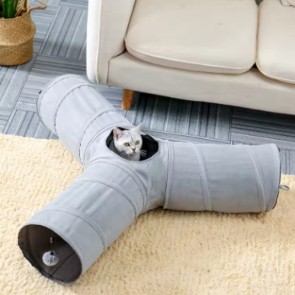 Grey three way collapsible cat tunnel with dangling toy ball and white cat peeking in living room