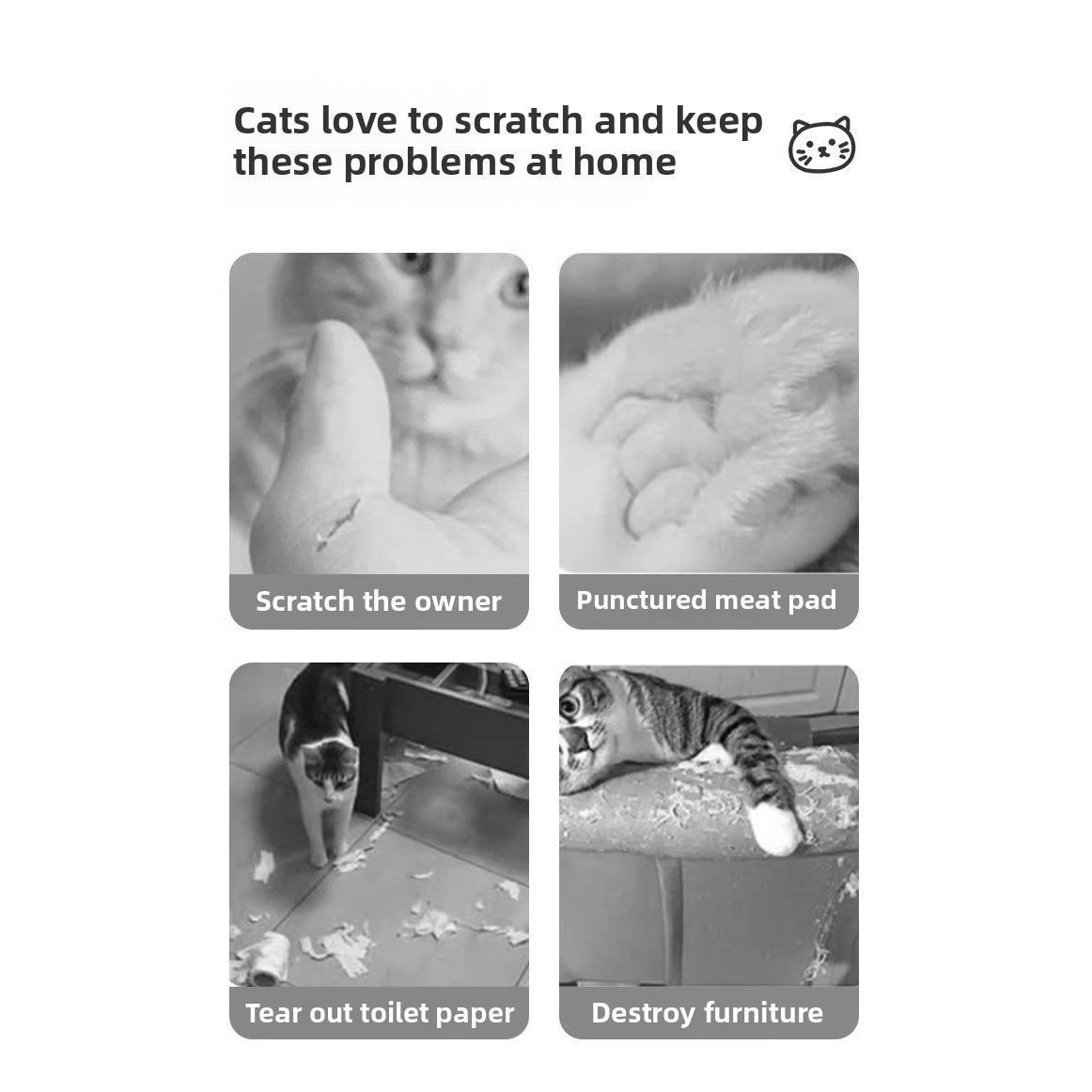 Wefulfil pet supplies infographic showing common cat scratching problems like scratching owner, punctured meat pad, torn toilet paper, and destroyed furniture