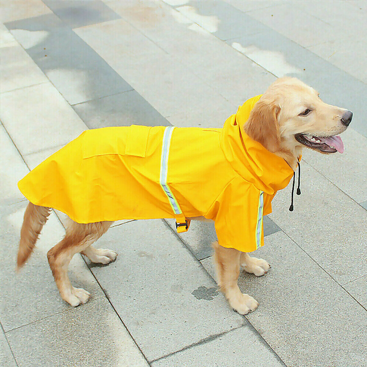 Wefulfil Waterproof Dog Rain Jacket in bright yellow with reflective strips for safety on a golden retriever