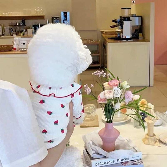 Summer Thin Lace Ruffle Strawberry Pet Cat Dog Clothes