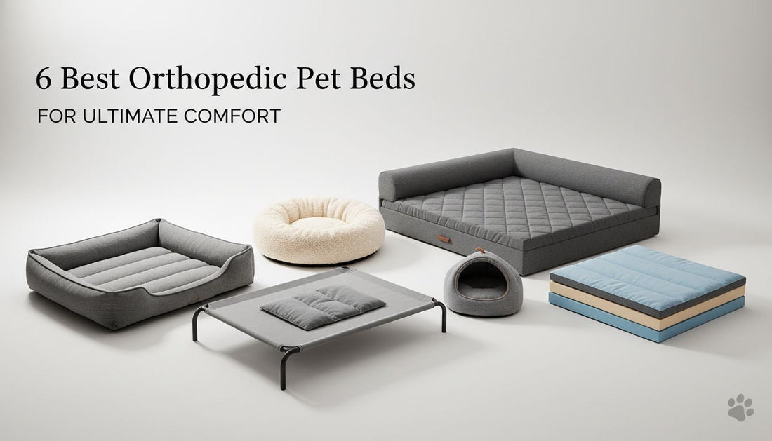 6 Best Orthopedic Pet Beds for Ultimate Comfort