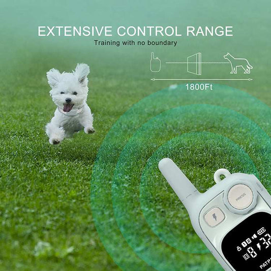 Electronic Dog Training Device With Electric Shock Collar And Screen