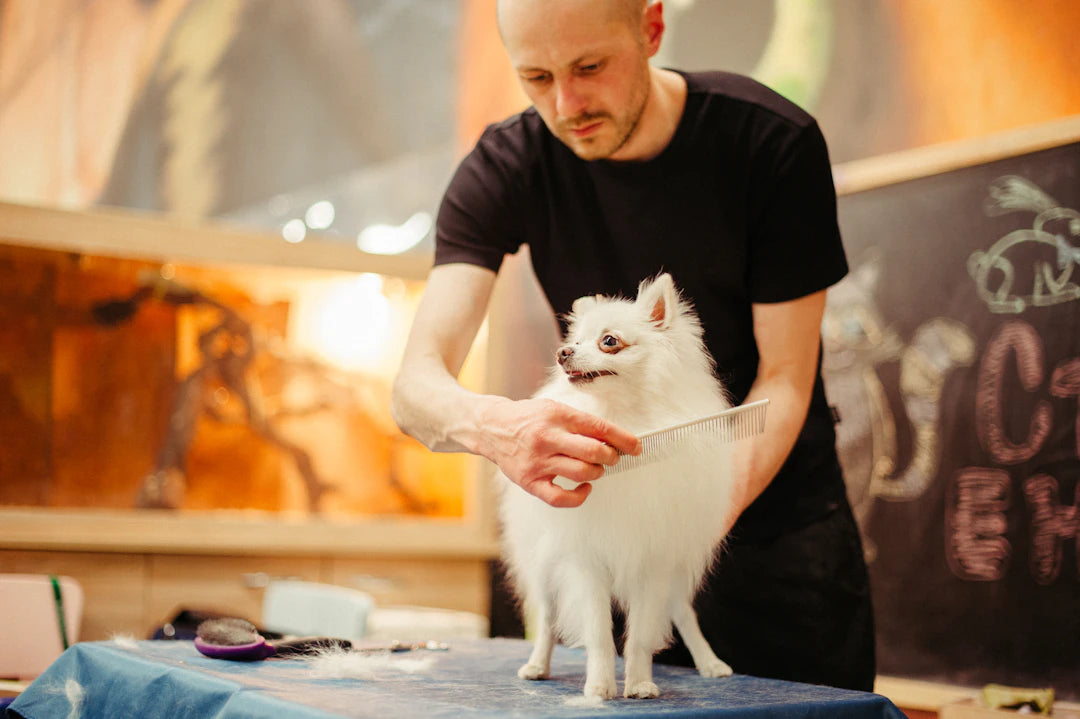 Effective Grooming Tools for Shedding Control and Well-Being