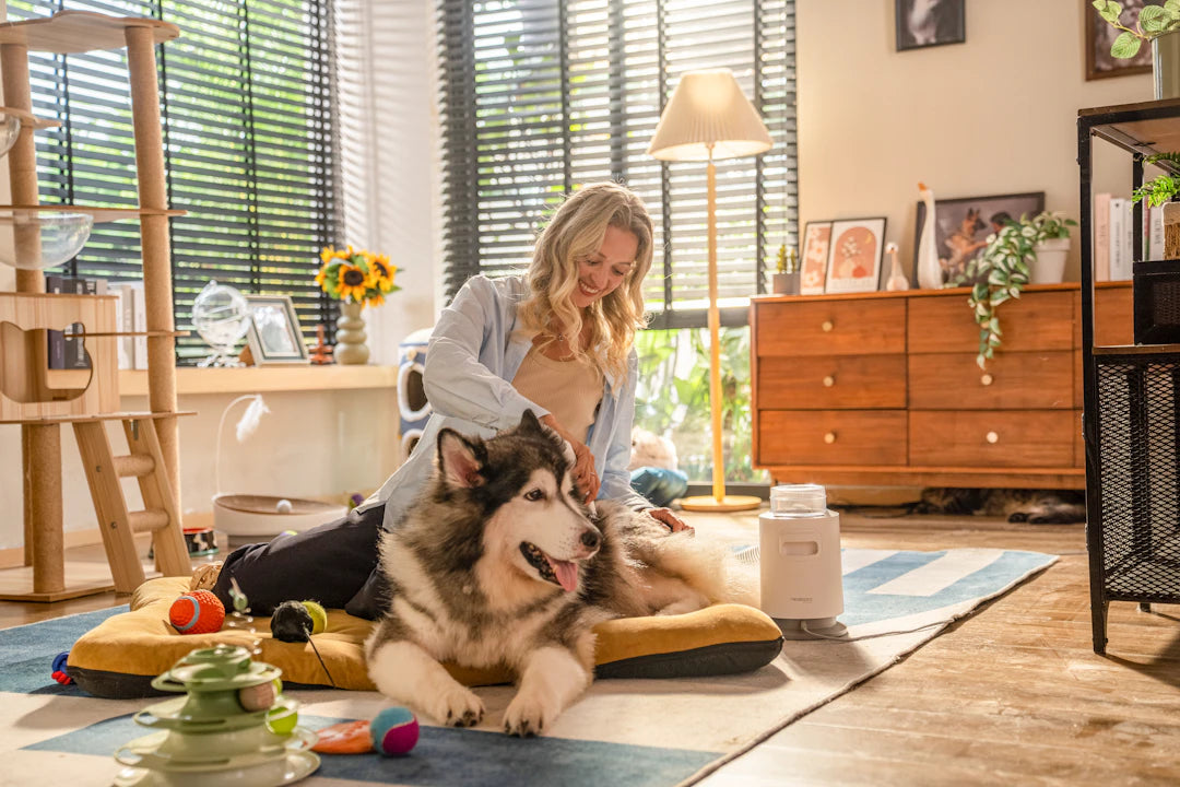 Your Ultimate Guide to Pet Grooming Essentials by Breed