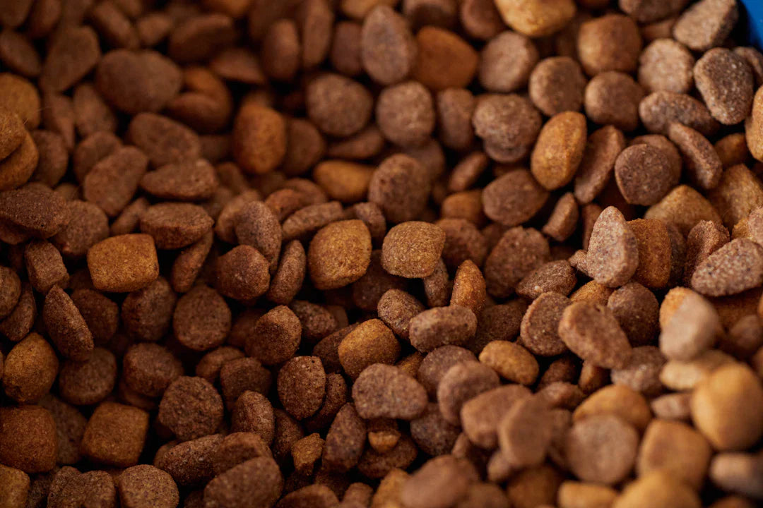 Mastering Your Pet's Nutrition for a Happy Life