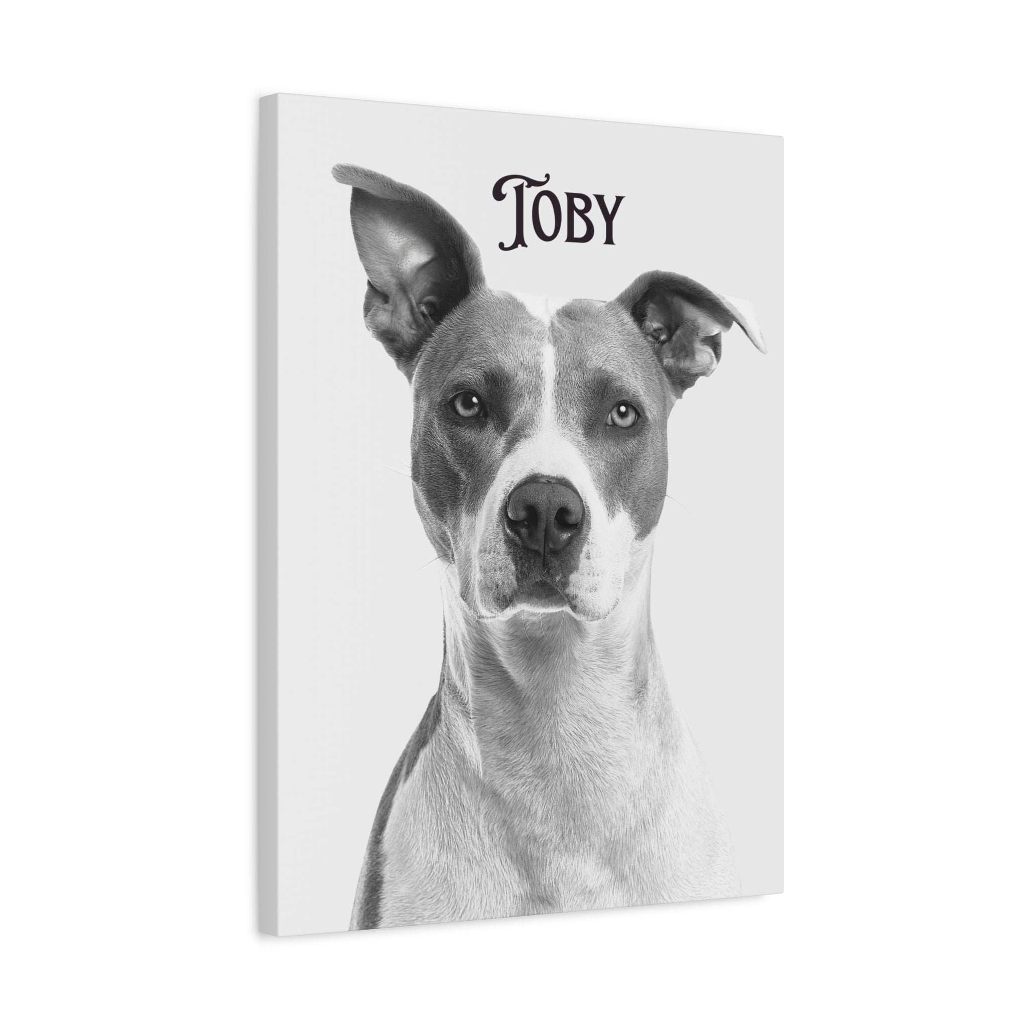 Canvas Photo Pet Prints