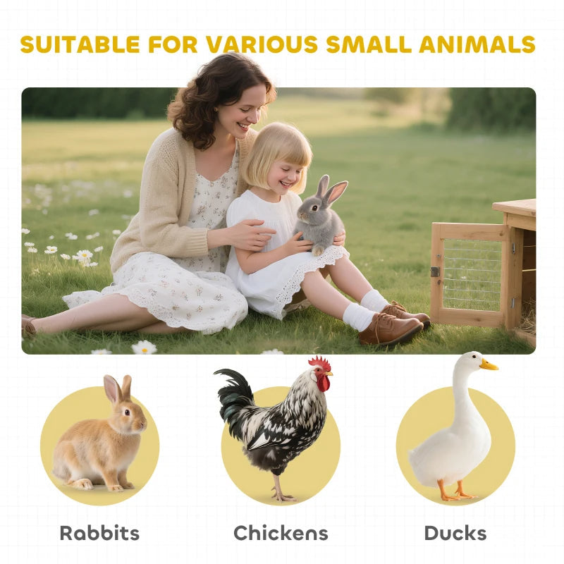 Small Pet Supplies