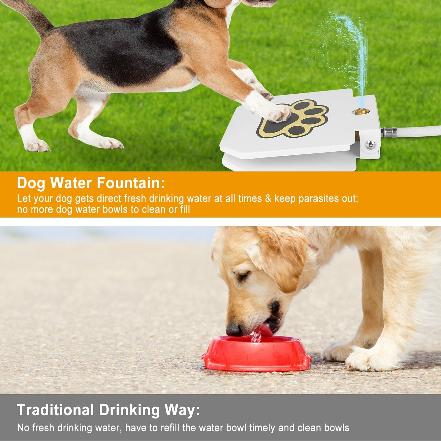 Outdoor Dog Water Fountain - Step-Activated Paw Pedal Dispenser