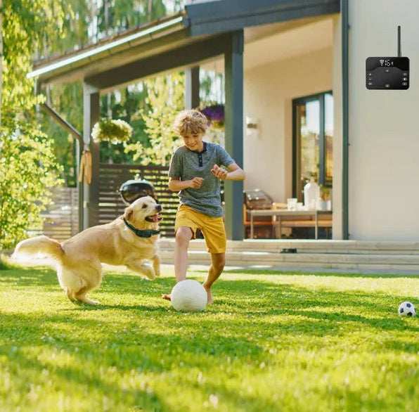 Wireless Dog Fence - Electric Boundary System With Waterproof Collar