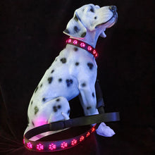 LED Dog Collar - 7 Color Luminous Paw Print USB Rechargeable