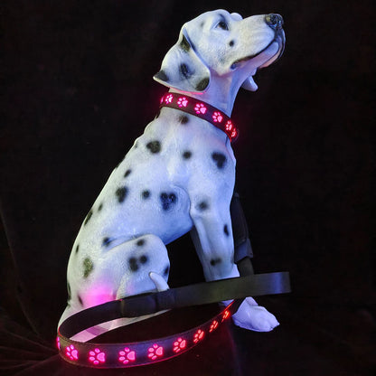 LED Dog Collar - 7 Color Luminous Paw Print USB Rechargeable