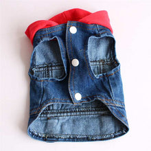 Denim dog coat with red lining on a white background