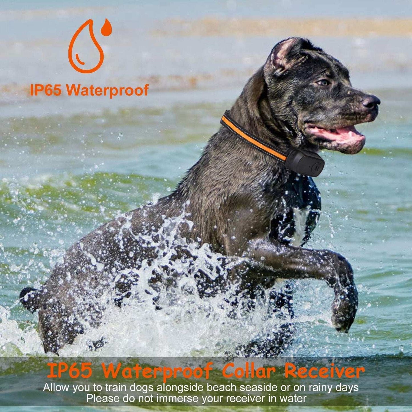 Dog Training Collar - Waterproof Remote With 3 Training Modes