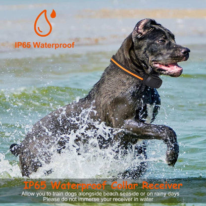 Dog Training Collar - Waterproof Remote With 3 Training Modes