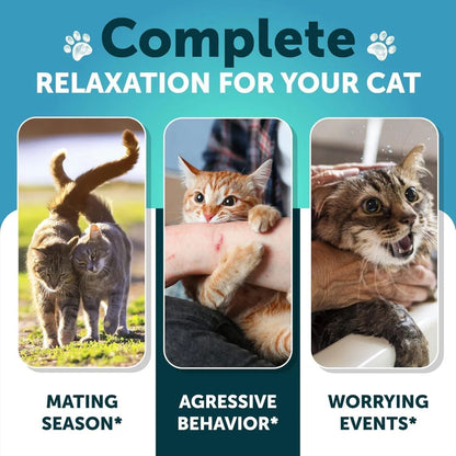 Do Not Sell On Amazon Hemp Cat Calming Treats For Stress & Anxiety Relief Cat Kittens Melatonin