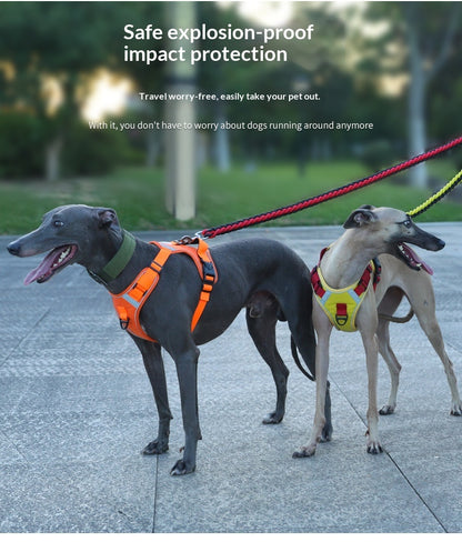 Dog Harness - Large Chest Style with Leash