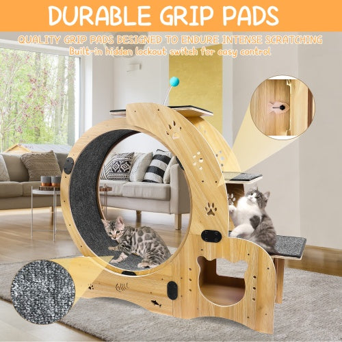 Cat Exercise Wheel Wooden - Silent 6-in-1 Indoor Cat Gym