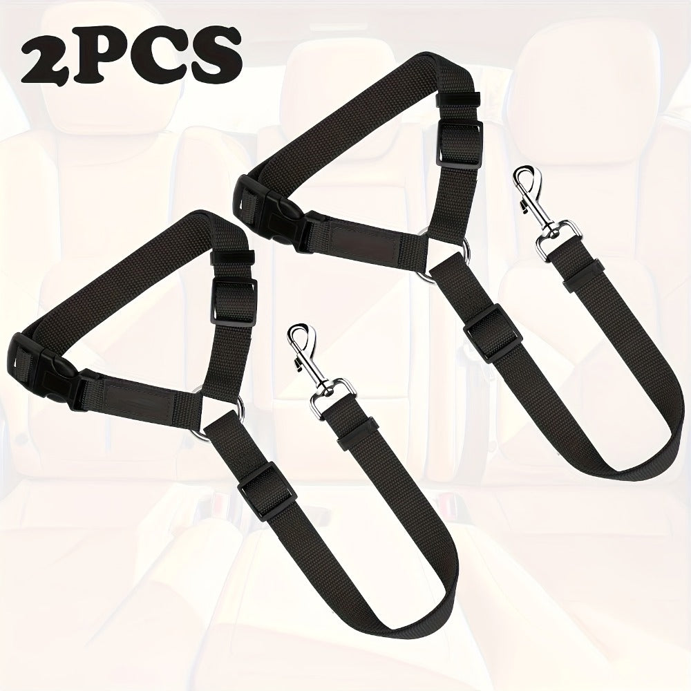 Dog Leash Set - Two-Piece Collar & Leash for Training