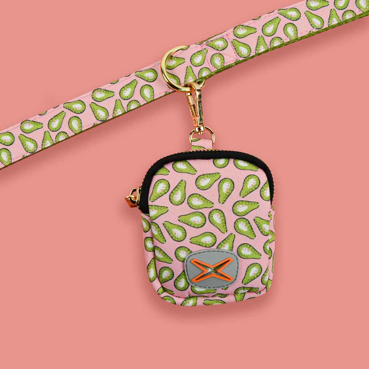 Dog Leash with Poop Bag Holder - Matching Set - Purrfect Pet Haven