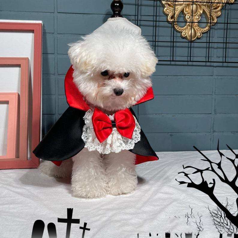 Vampire Cloak Pet Costume - Dramatic Halloween Windbreaker Cape