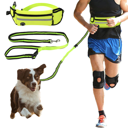 Waterproof Reflective Sports Running Pet Waist Bag with Traction Rope Leash
