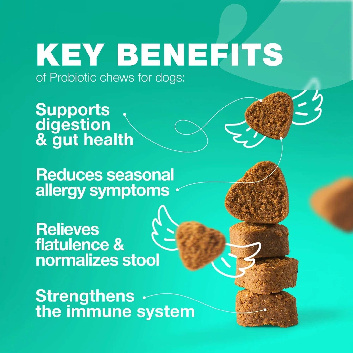 70 Probiotic Chews Support Gut Health, Yeast Balance, Itchy Skin and Allergies For Dogs