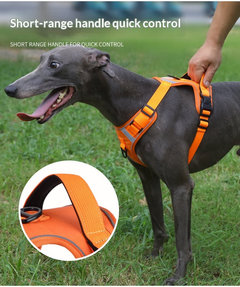 Dog Harness - Large Chest Style with Leash