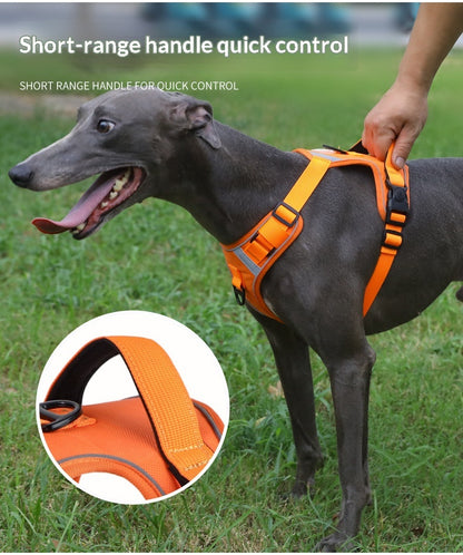 Dog Harness - Large Chest Style with Leash