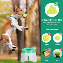 Automatic Dog Ball Launcher - 6 Tennis Balls Adjustable Distance