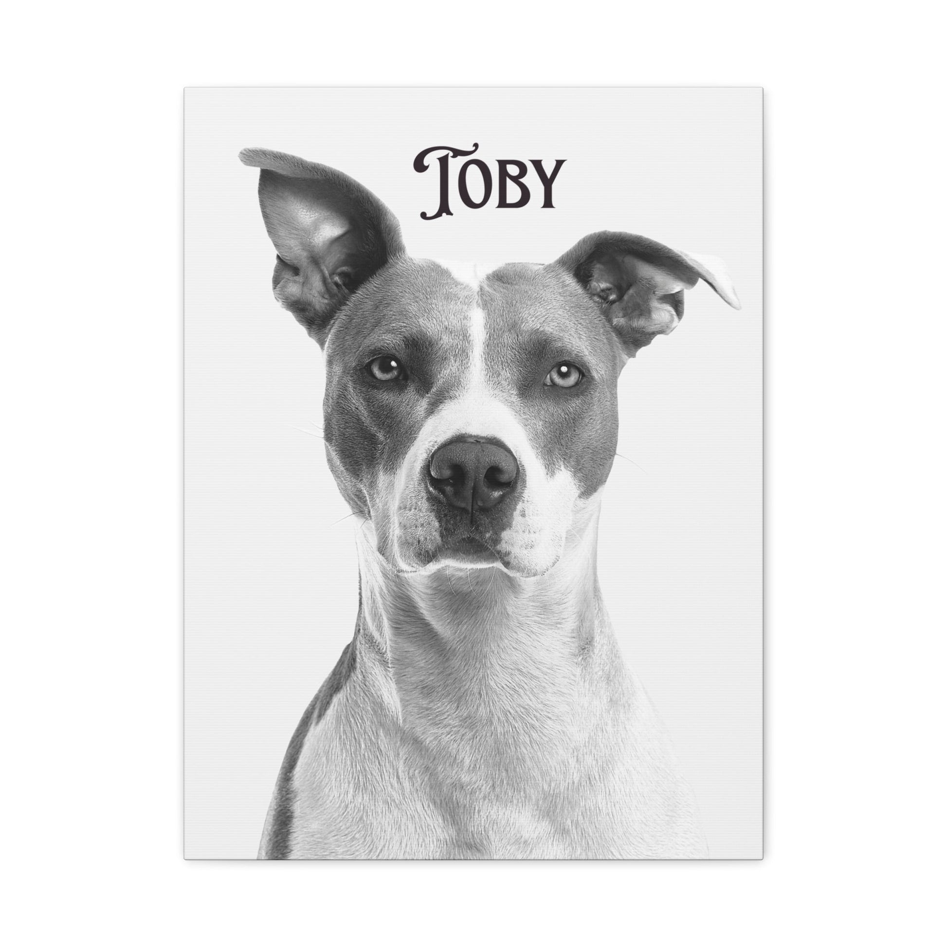 Custom Photo Canvas Print - Stretched Wall Art for Pet Lovers | Purrfect Pet Haven