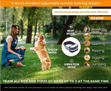 Invisible Guardian Fence - 2-in-1 Wireless Dog Trainer - Purrfect Pet Haven