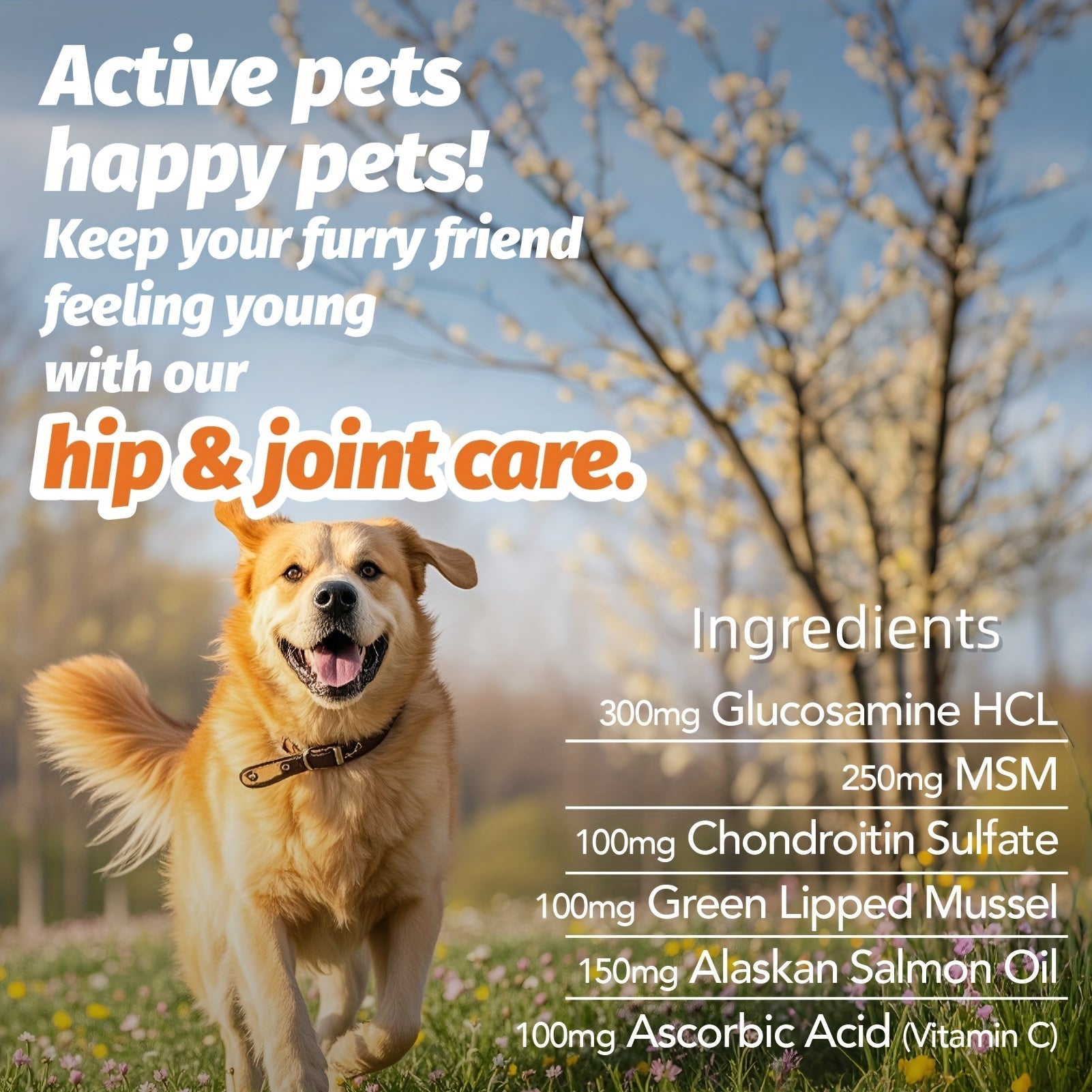 PAWSITIVE NUTRITION Advanced Hip and Joint Supplement - 90 Count, Glucosamine & Chondroitin, MSM, Alaskan Salmon Oil - Joint & Muscle Health, Mobility & Flexibility, Chicken Flavor | Purrfect Pet Haven