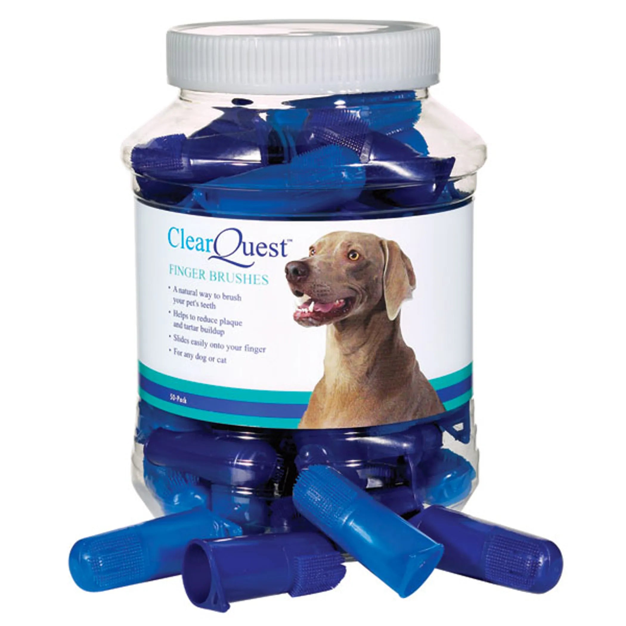 CQ Finger Brush 50Pk | Purrfect Pet Haven