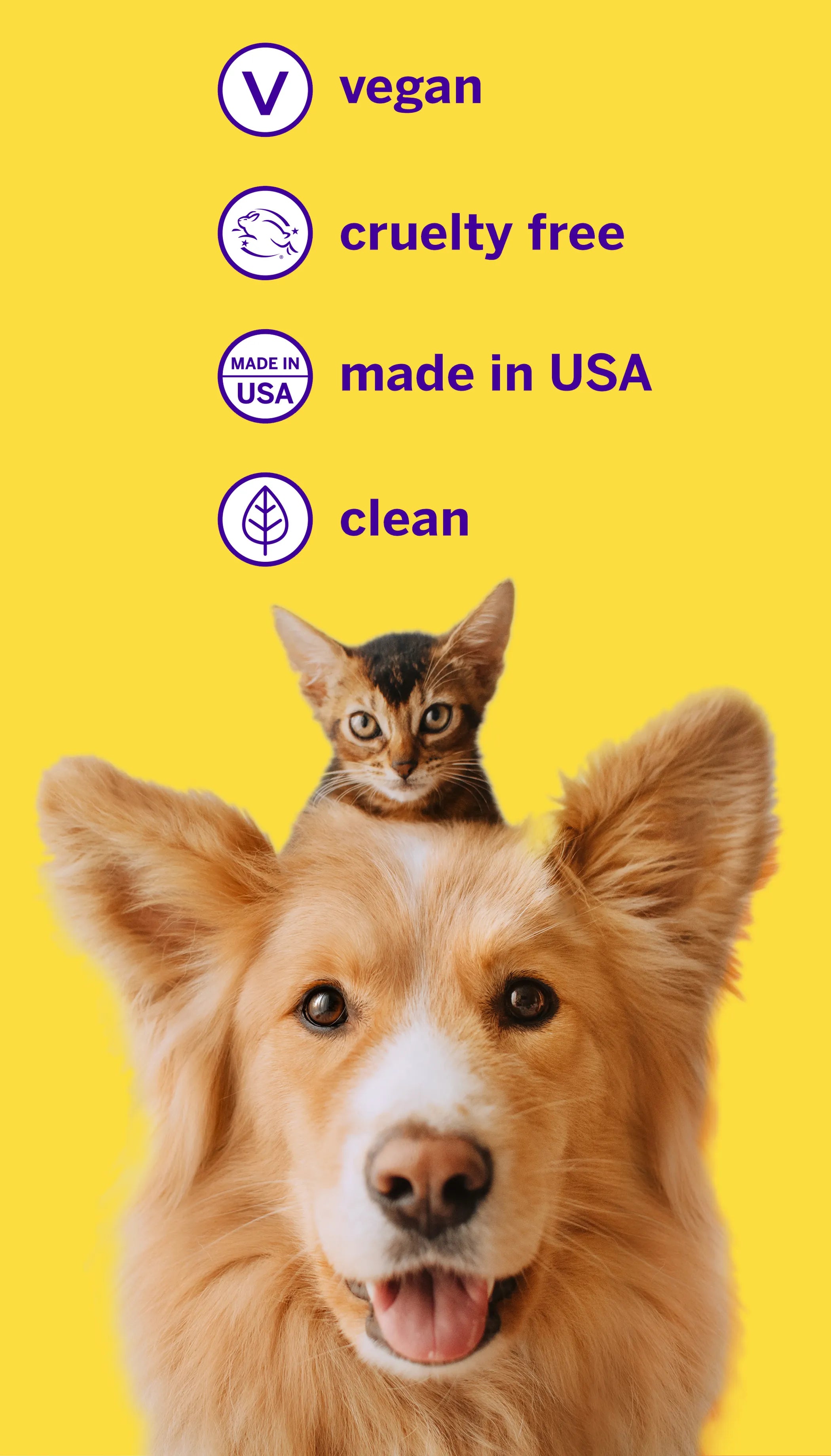 Professional Pet Toothpaste | Purrfect Pet Haven
