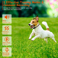 Dog Training Collar - Waterproof Remote With 3 Training Modes