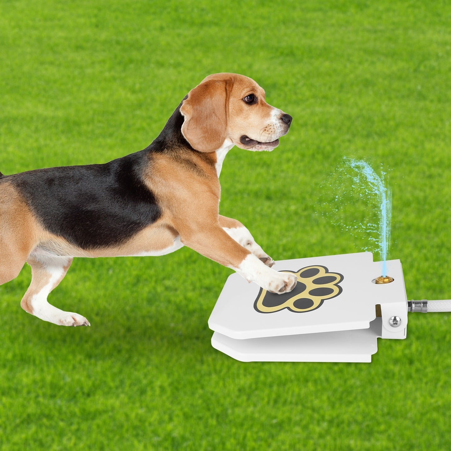 Outdoor Dog Water Fountain - Step-Activated Paw Pedal Dispenser