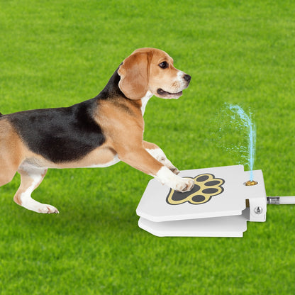 Outdoor Dog Water Fountain - Step-Activated Paw Pedal Dispenser