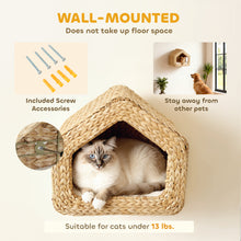 Seagrass Sky Pod - Wall Mounted Cat Hideaway