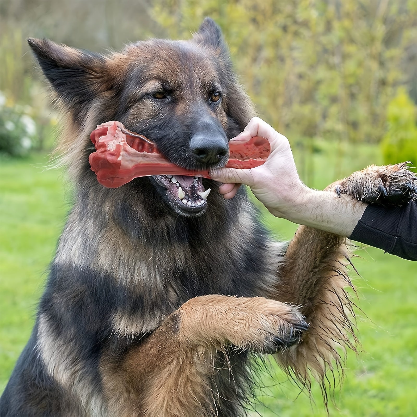 Indestructible Dog Chew Toy for Aggressive Chewers - Durable, Non-Toxic Natural Rubber Bone Shape - 0