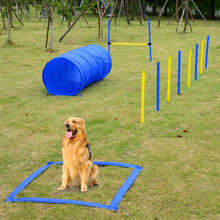Dog Agility Equipment Set - Outdoor Obstacle Course Kit