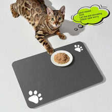 Pet Feeding Mat for Dogs and Cats - Washable And Reusable Placemat