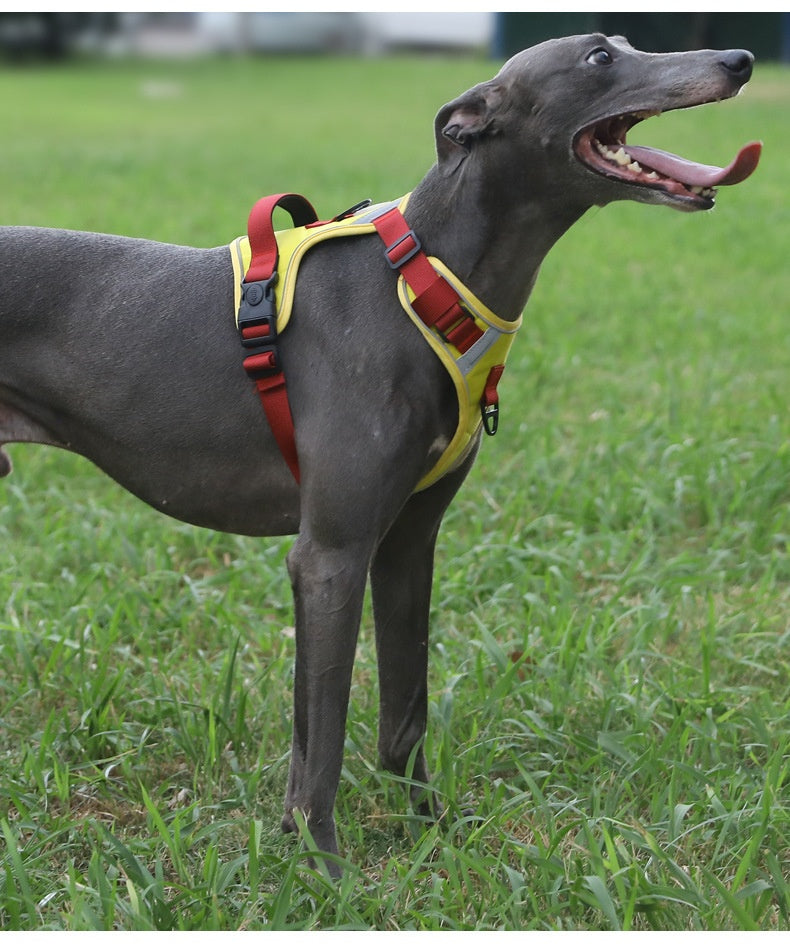 Dog Harness - Large Chest Style with Leash