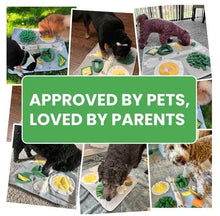 Snuffle Mat For Dogs Large Breed 19x23 Inch Keeps Pets Busy Indoors Comfortable