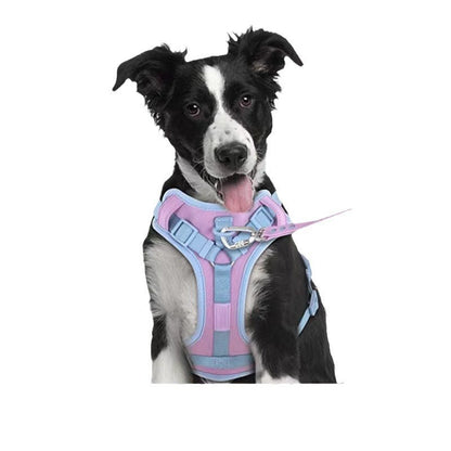 Dog Collar Harness Hand Holding and Rope Leash - Easy Control