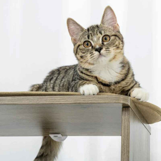 Corner Modern Cat Tree Tall For Climbing, Large Multilevel Cat Tower With Scratching Posts, Small-Fit Kitten Tower With Sisal, Cream White