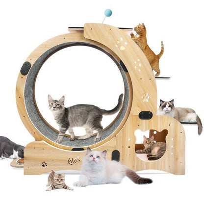Wooden cat exercise wheel with cats interacting on a white background