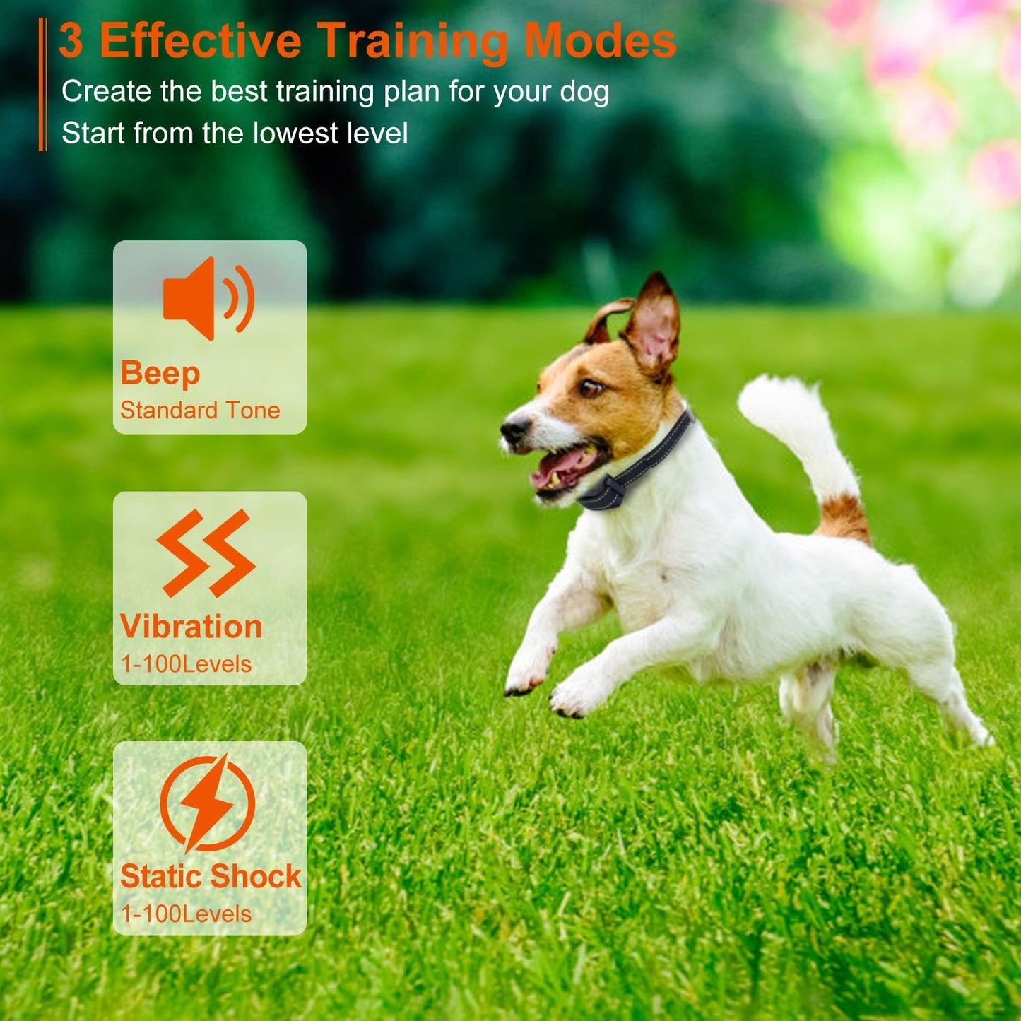 Dog Training Collar - 3280ft Range IP67 Waterproof 3 Modes - Purrfect Pet Haven